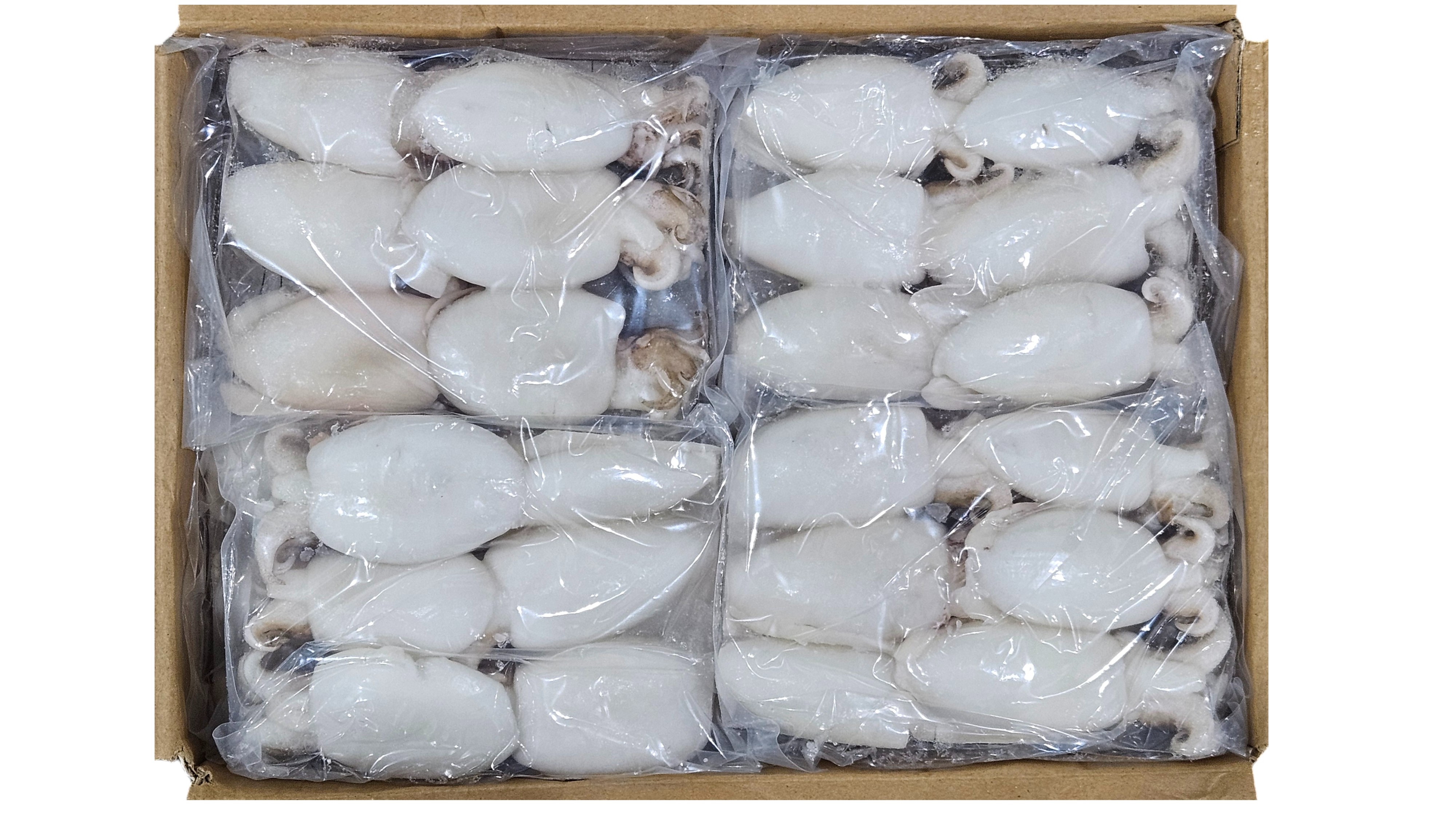 손질 미니 갑오징어 10/20 (베트남, 1.8kg, 베이비 이까)