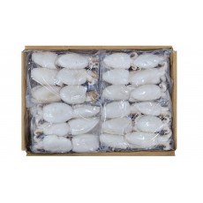 손질 미니 갑오징어 10/20 (베트남, 1.8kg, 베이비 이까)