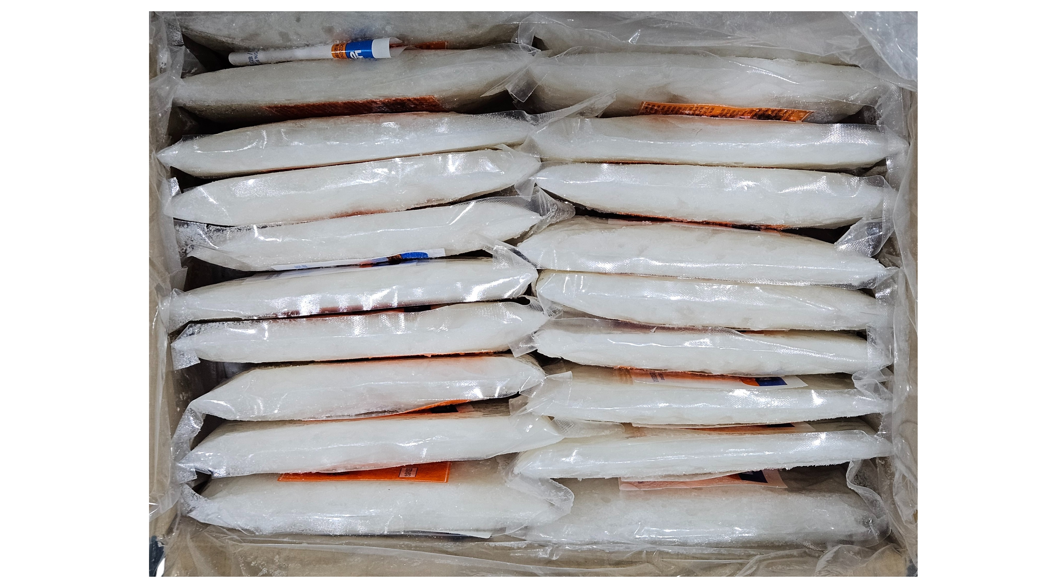 갑오징어채 500g (횟감용, 10k, 말레이시아)