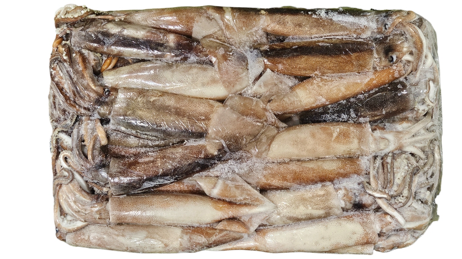 냉동 오징어 M (300/400, 13.3k, 아르헨티나)