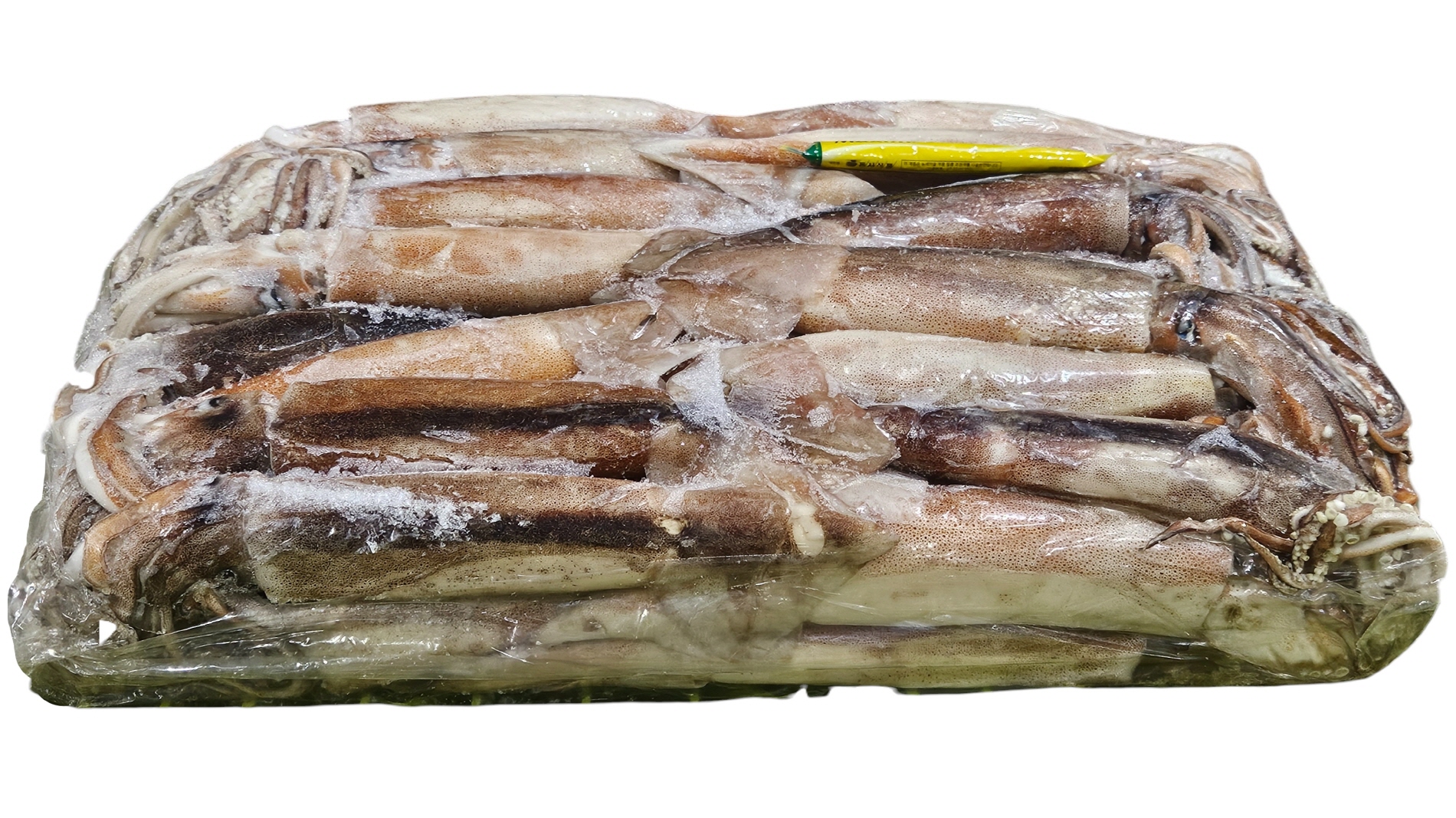 냉동 오징어 M (300/400, 13.3k, 아르헨티나)