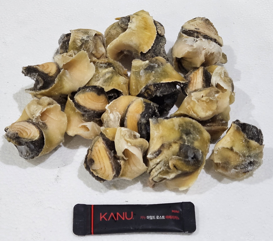 자숙 참소라살 (피뿔고둥살, 튀르키예) L