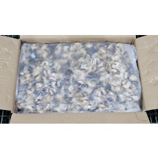 자숙 참소라살 (피뿔고둥살, 튀르키예) L