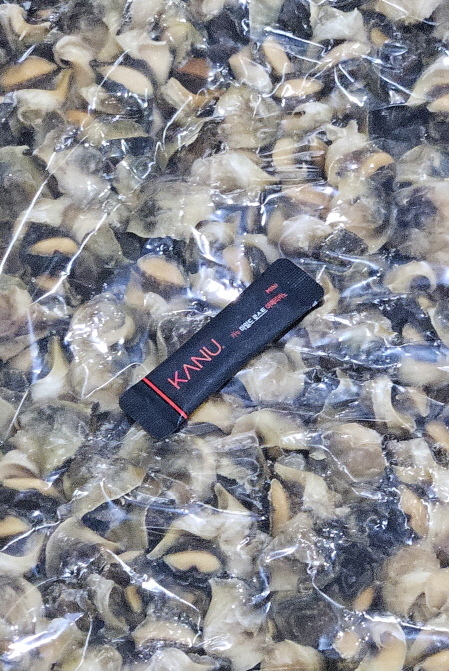 자숙 참소라살 (피뿔고둥살, 튀르키예) 2S