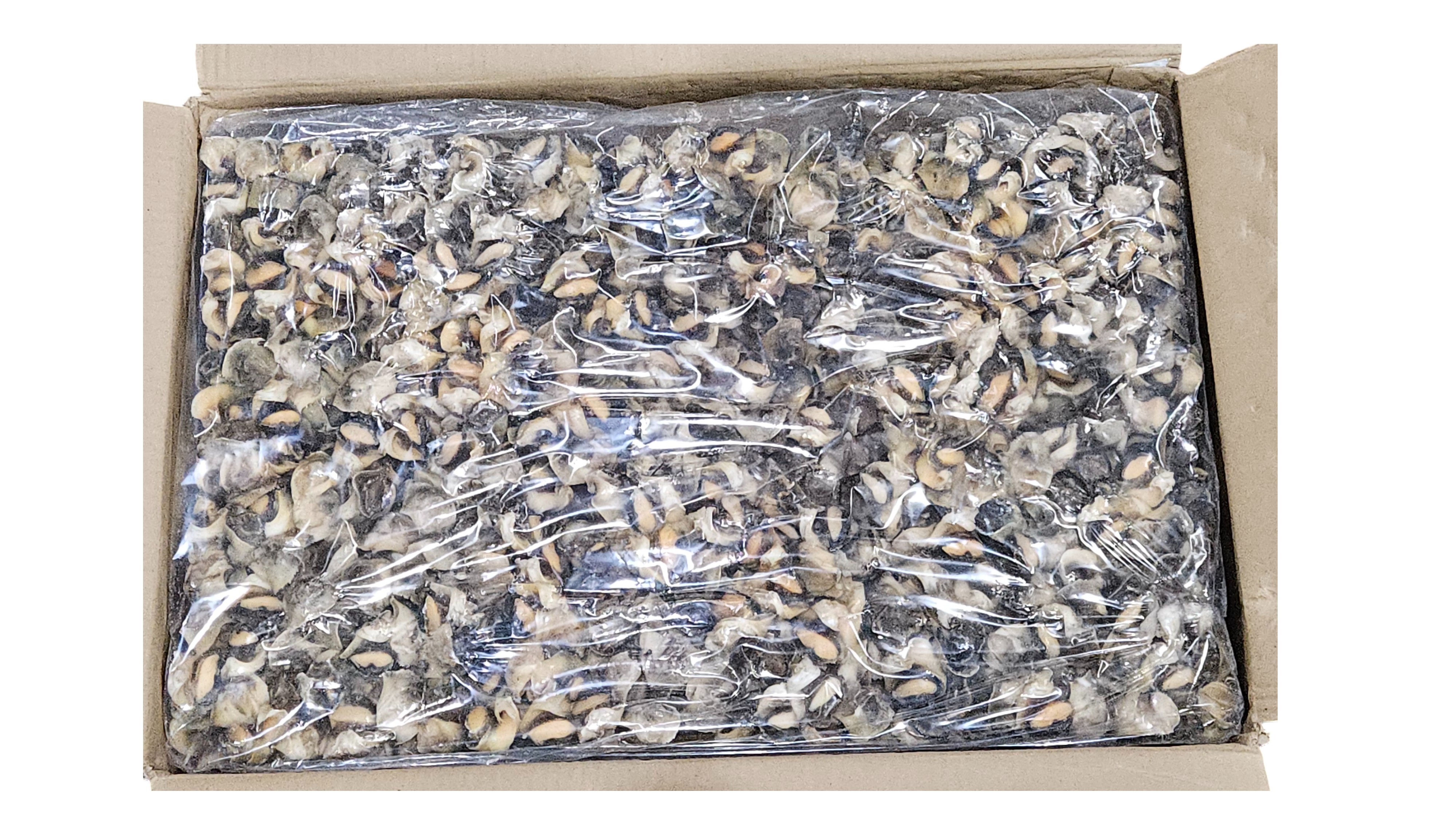 자숙 참소라살 (피뿔고둥살, 튀르키예) 2S