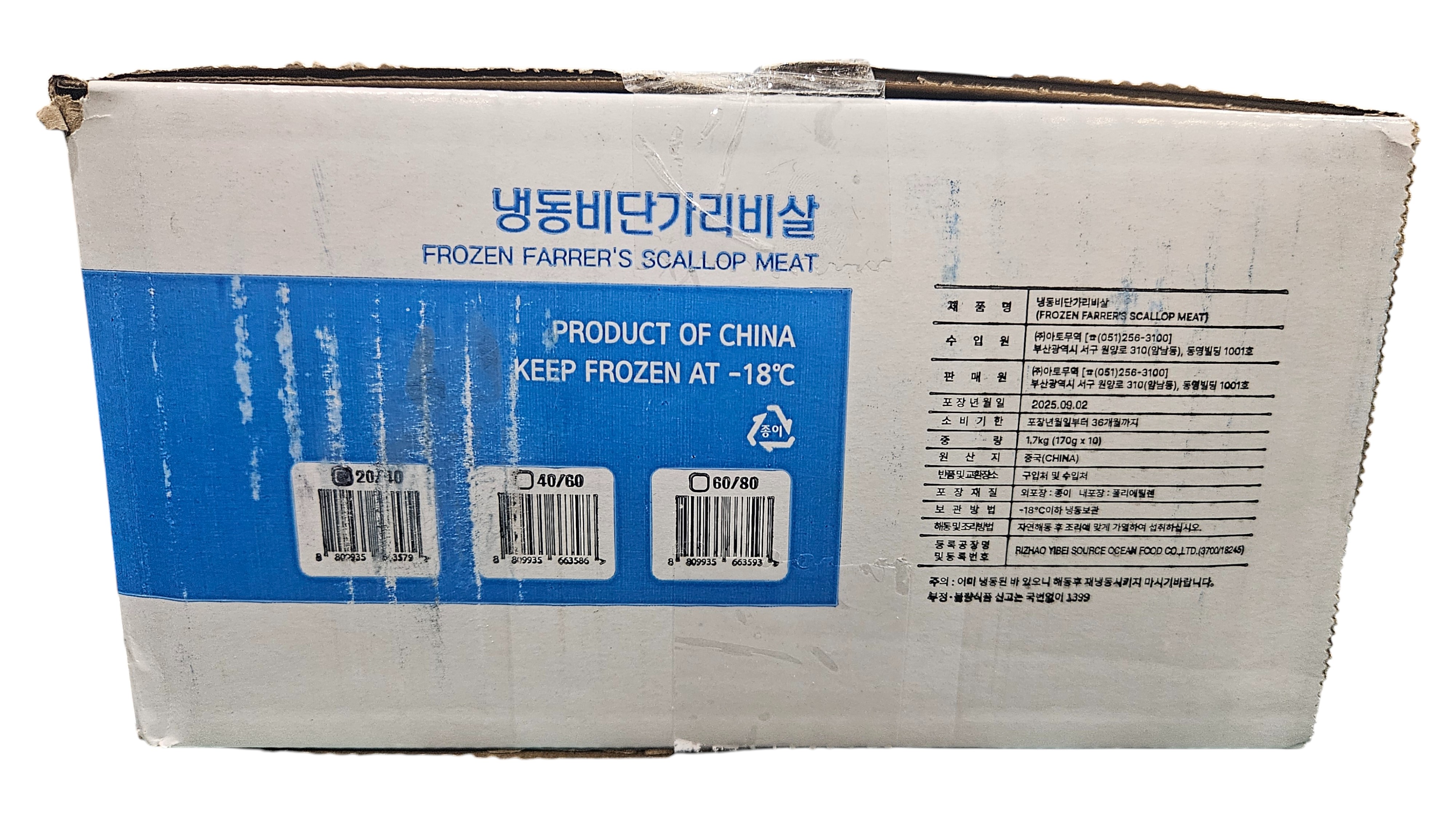 히모가리비 20/40 (비단 가리비)