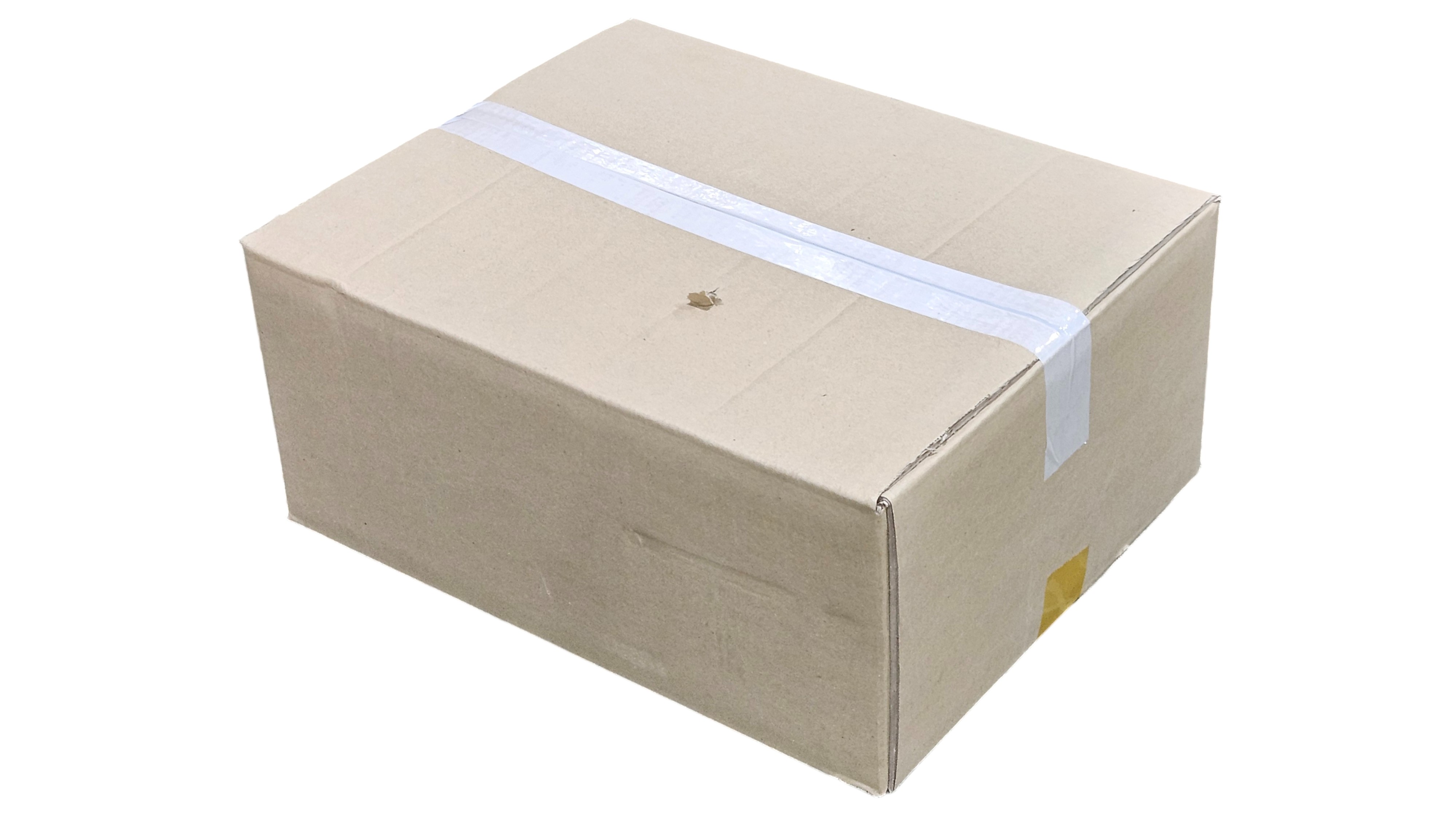 냉동 홍가리비 (국내산)