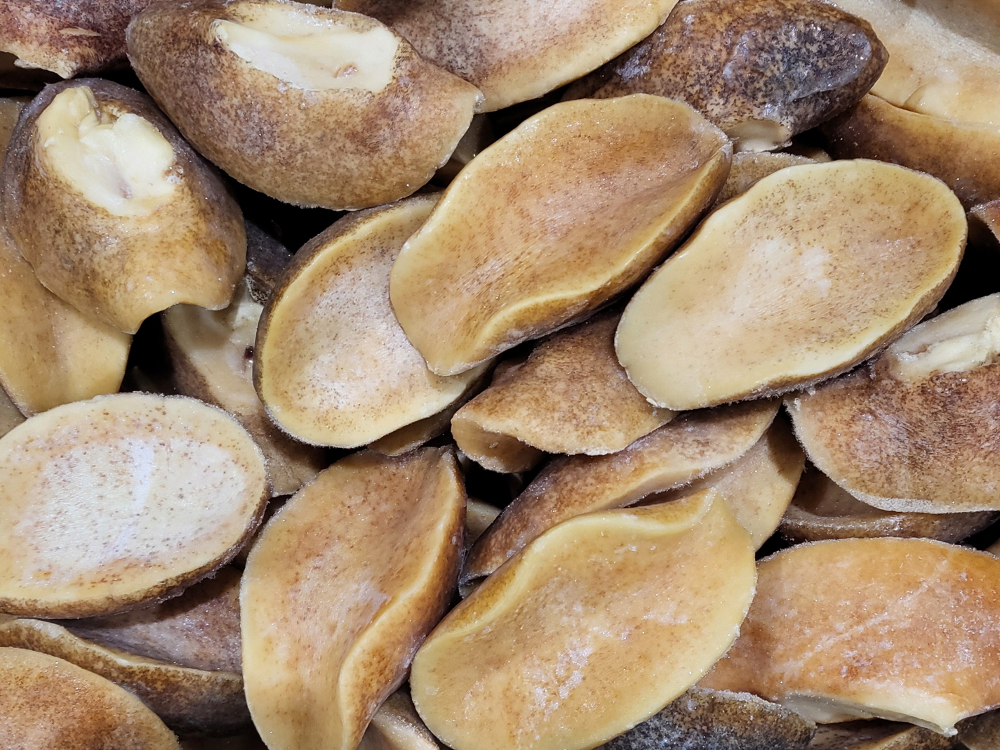 위소라 (자숙소라살) 400/600