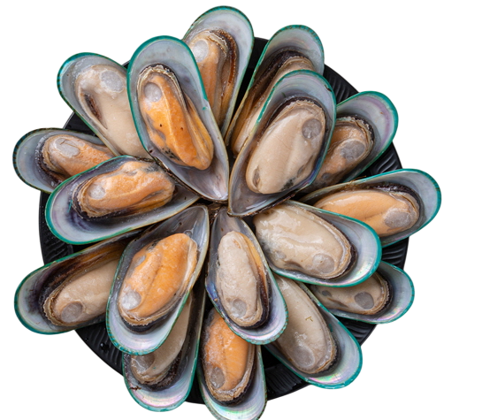 그린홍합, 반탈각 홍합 (M)