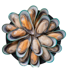 그린홍합, 반탈각 홍합 (M)