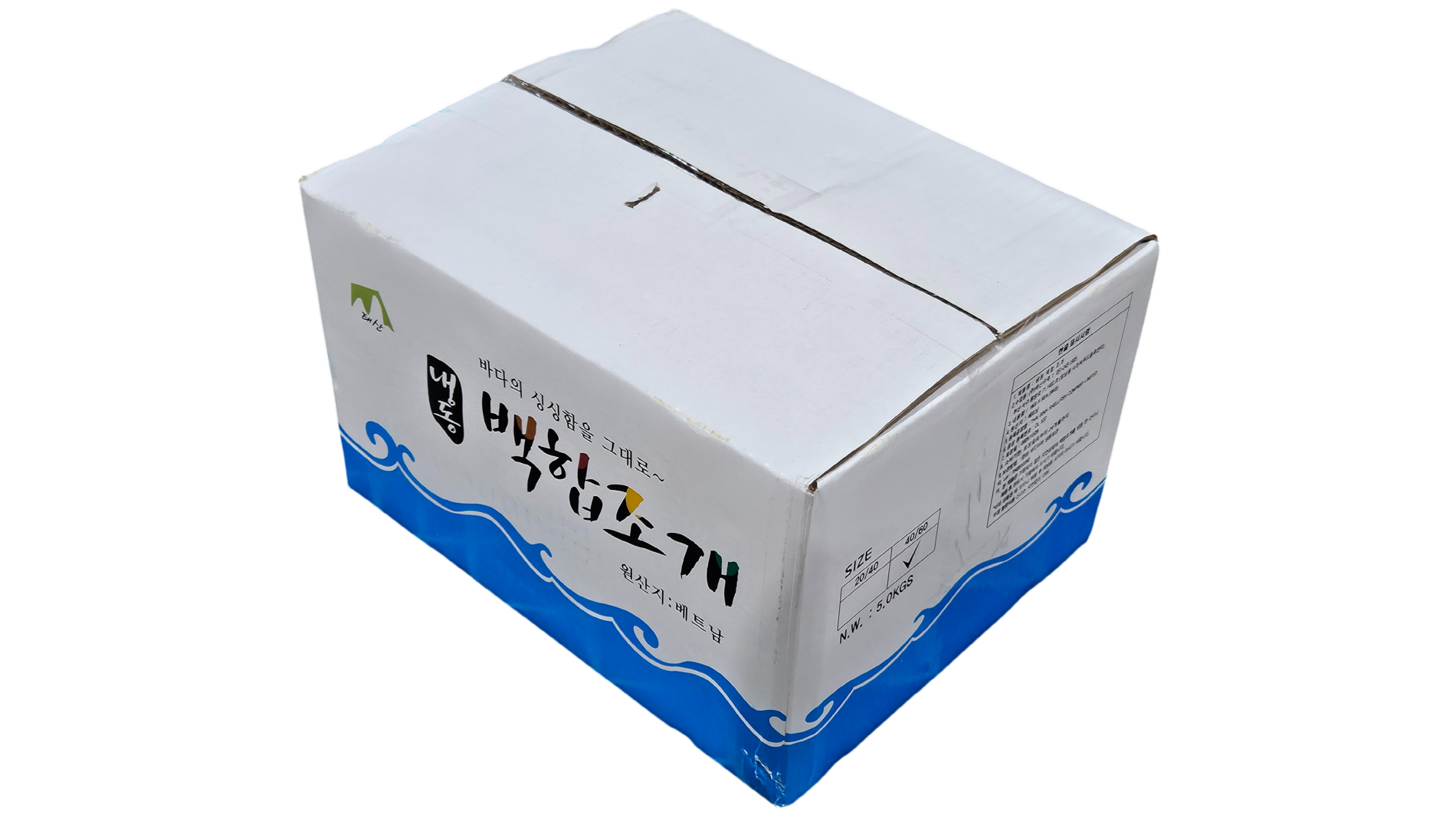 냉동 피백합(백합조개) 41/60, 태국