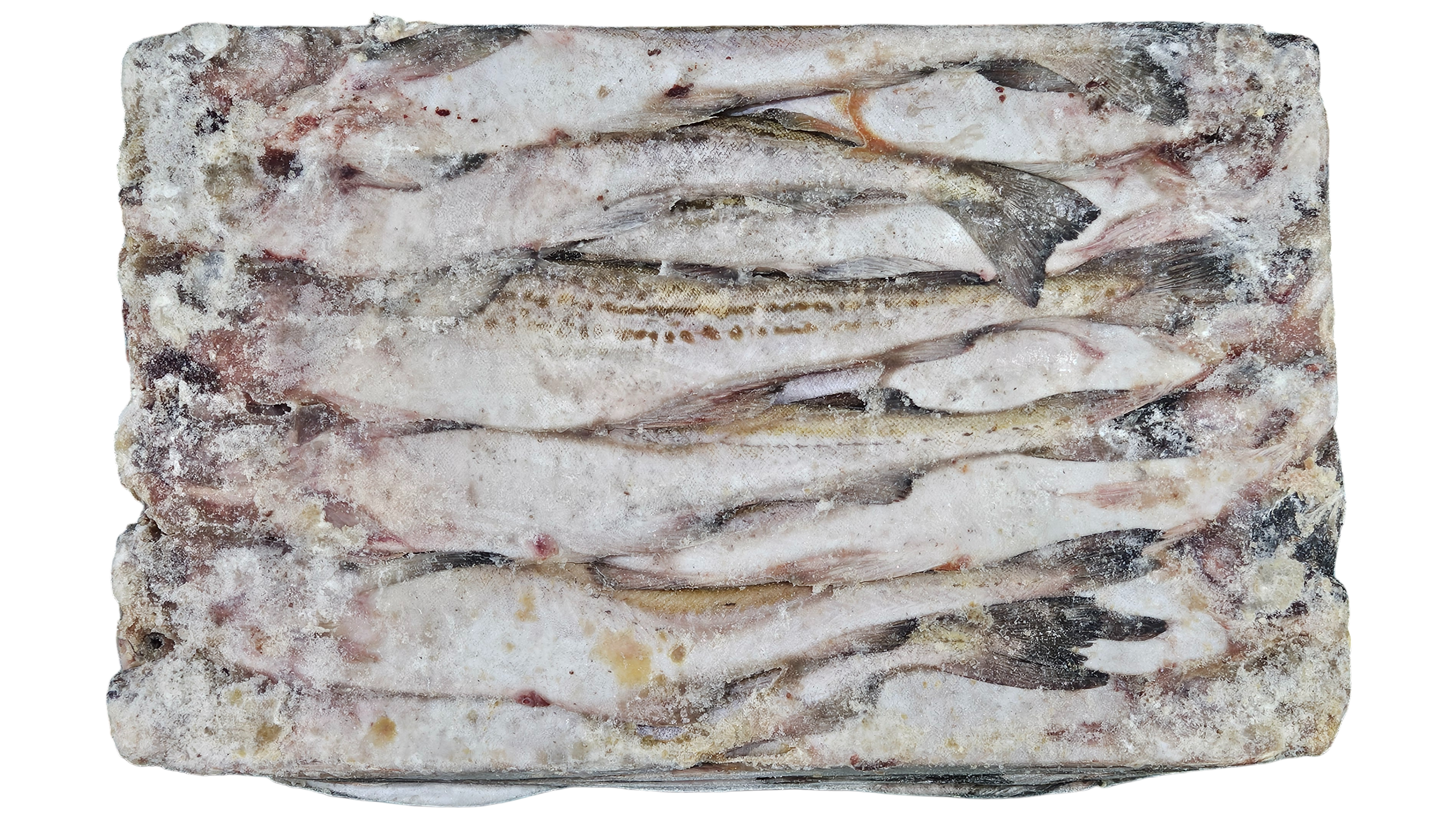 동태 (명태) 7통 (비절단, 러시아)