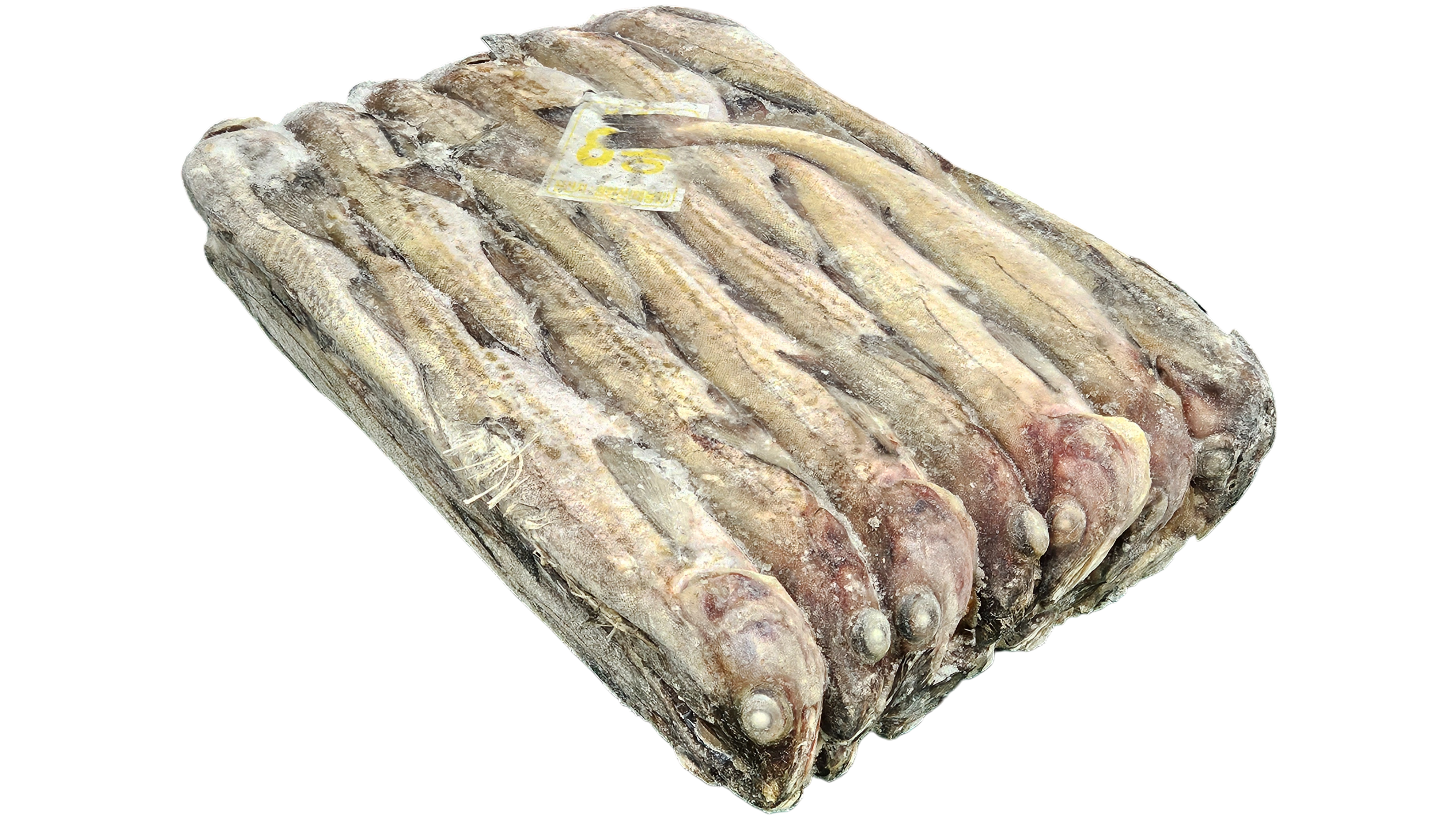 동태 (명태) 8통 (비절단, 러시아)