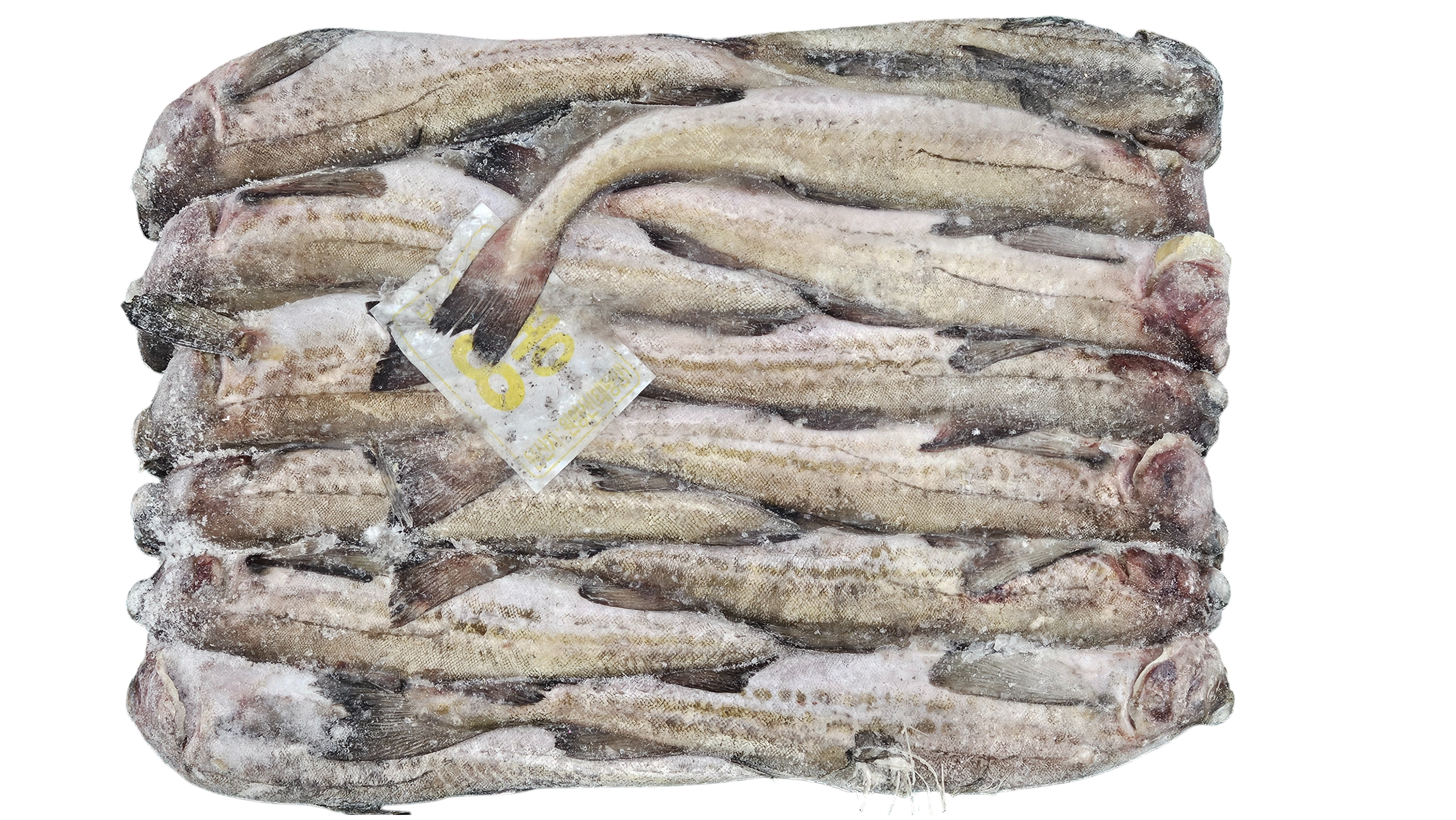 동태 (명태) 8통 (비절단, 러시아)