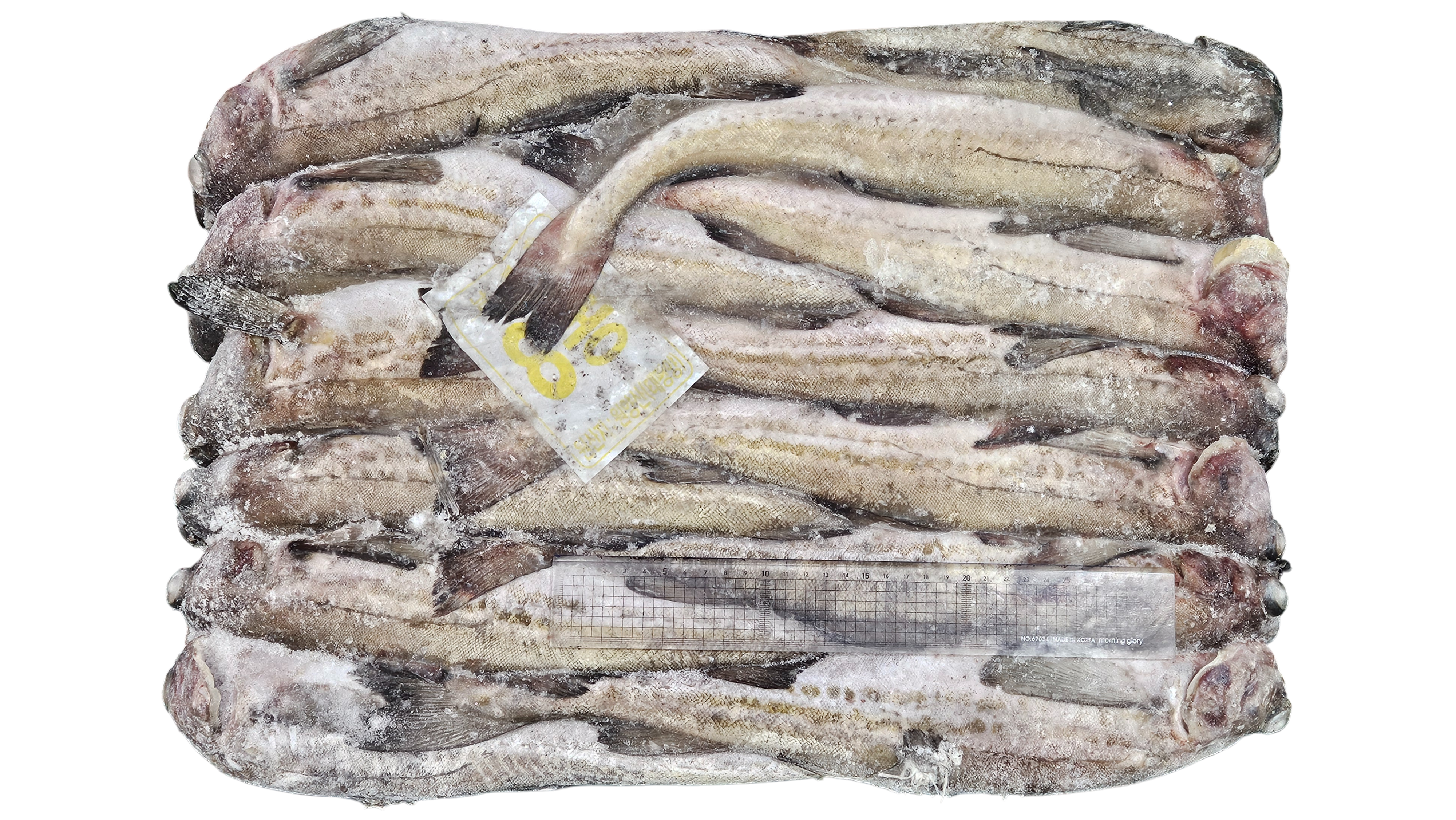 동태 (명태) 8통 (비절단, 러시아)