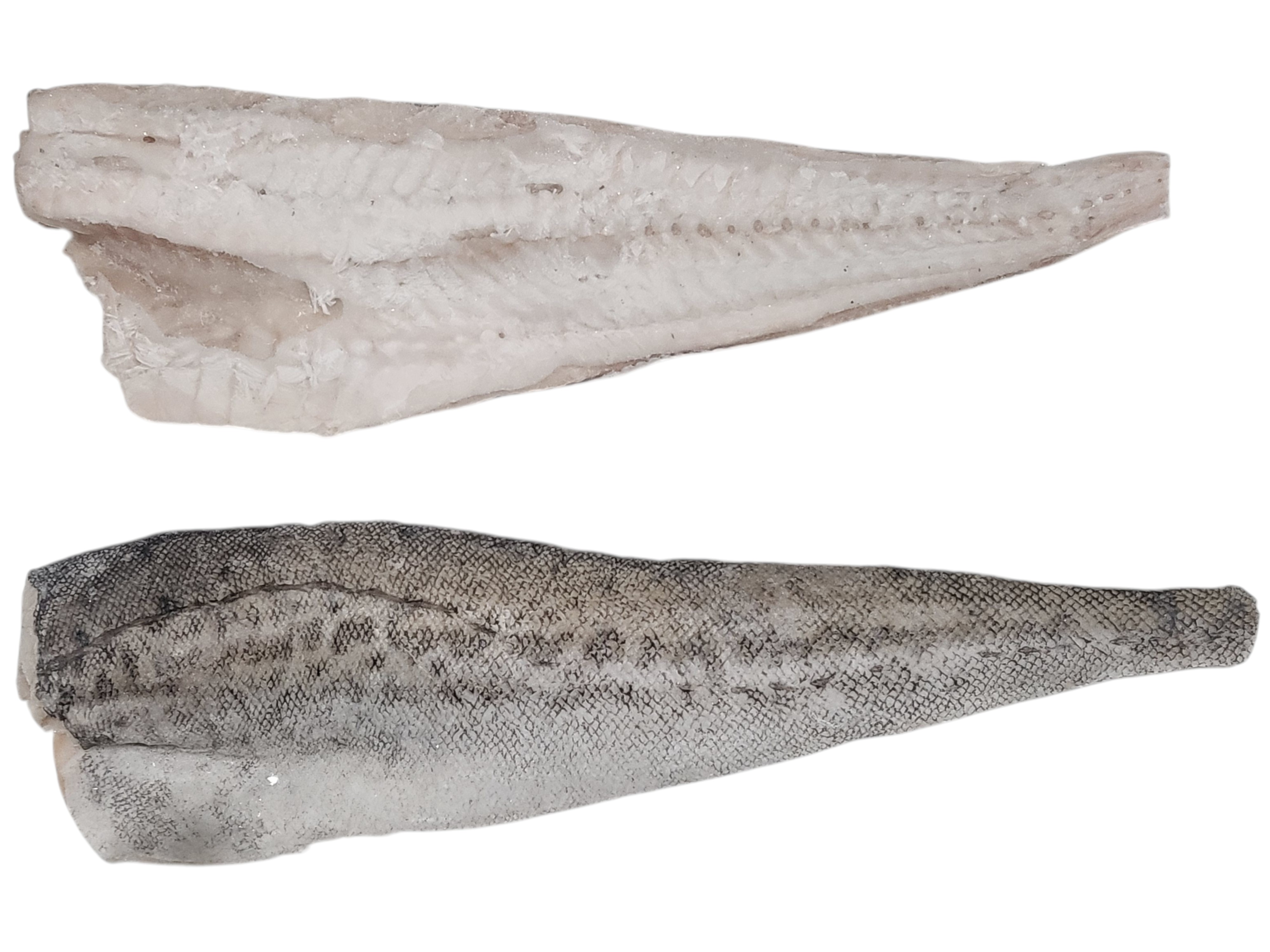 동태포 스킨온 (껍질있음) 10/12미