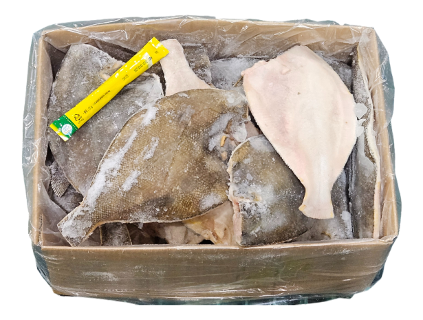 손질가자미 / 두절가자미 200/300