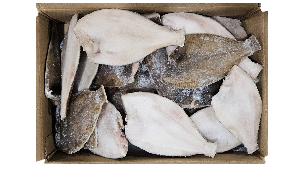 손질가자미 / 두절가자미 100/150