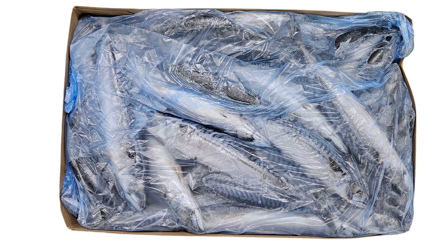 노르웨이 원물 고등어 300/500