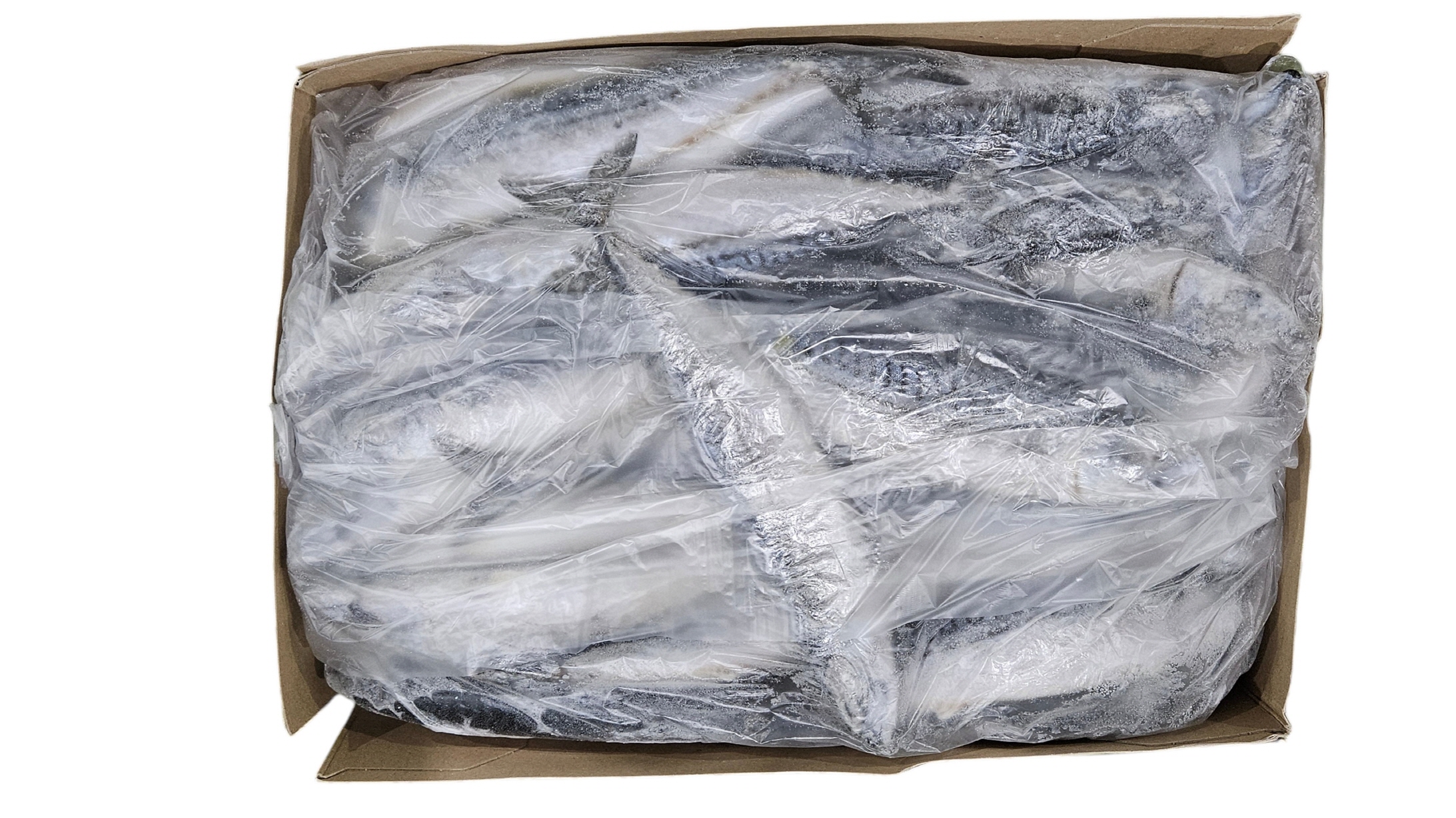 노르웨이 원물 고등어 400/600