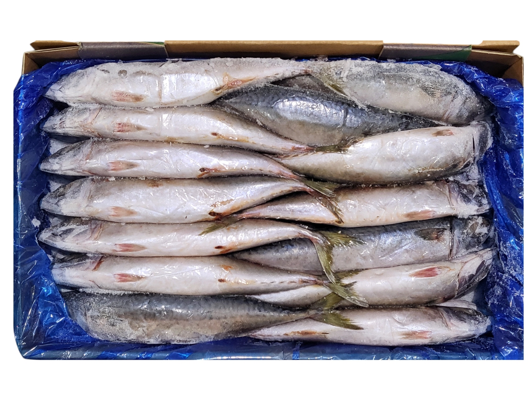 국내산 고등어 (조림용) 32미