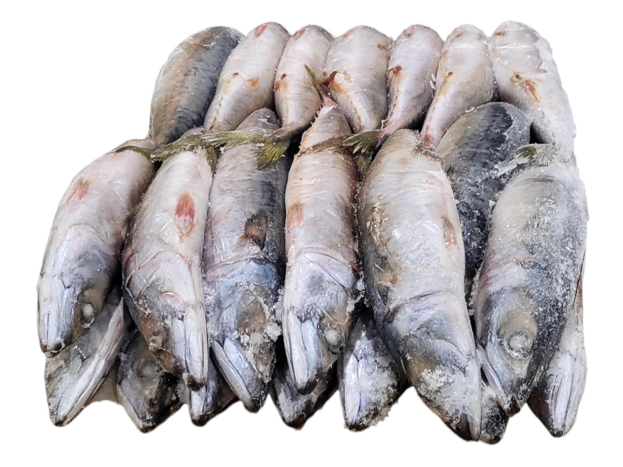 국내산 고등어 (조림용) 32미