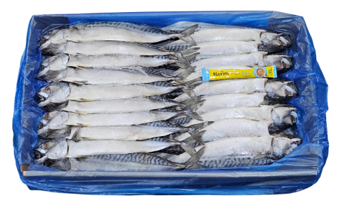 노르웨이 자반고등어 10손 대 (나라)