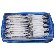 노르웨이 자반고등어 10손 대 (나라)