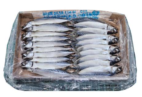 노르웨이 자반고등어 10손 대 (동아)