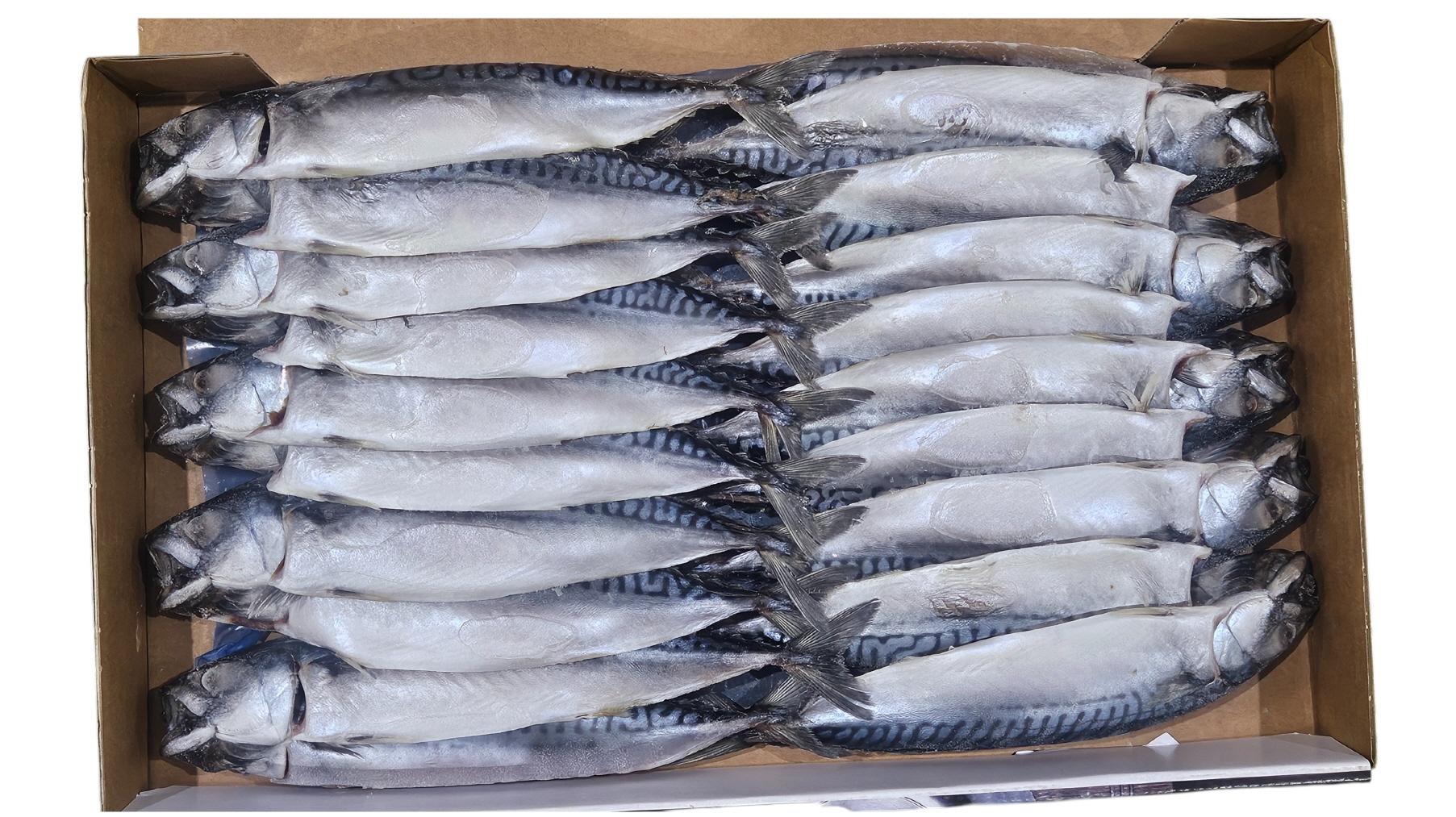 노르웨이 자반고등어 10손 중 (동아)