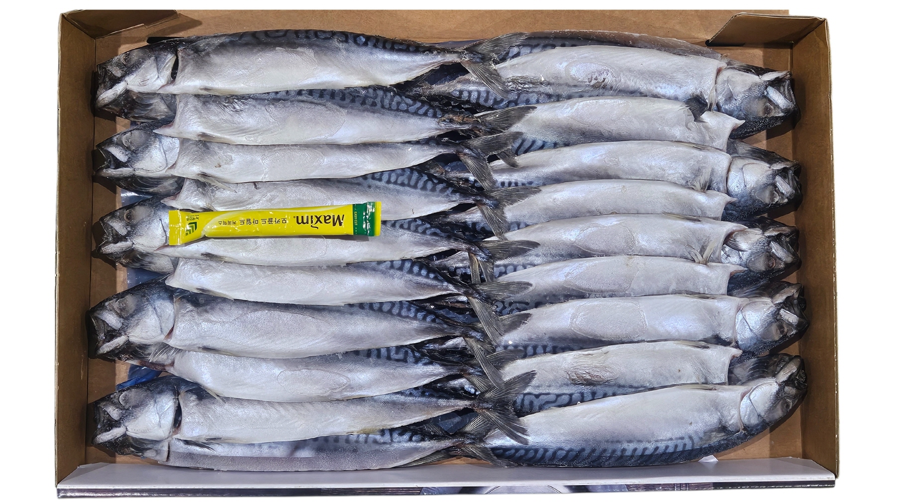 노르웨이 자반고등어 10손 중 (동아)