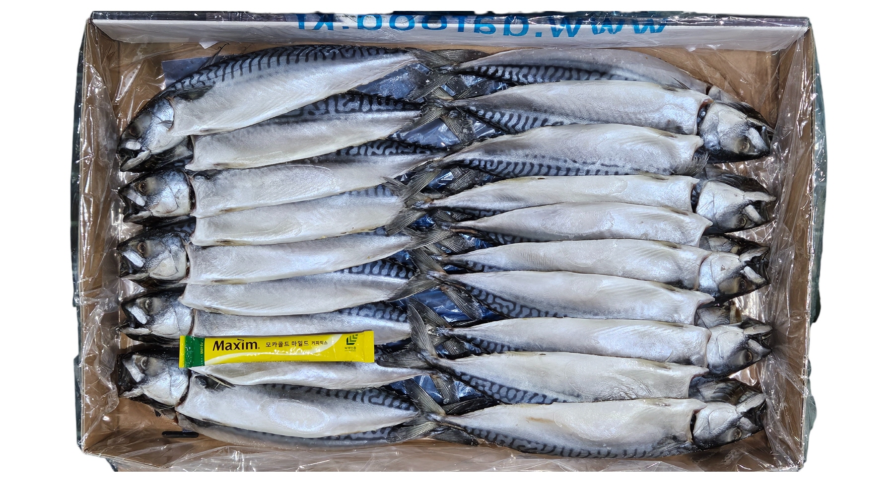 노르웨이 자반고등어 10손 소 (동아)