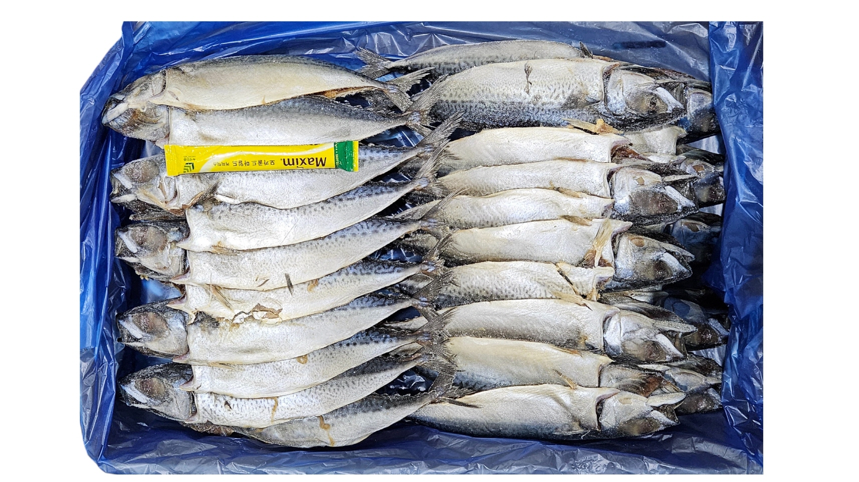 국내산 자반고등어 20손 중 (파알)