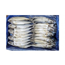 국내산 자반고등어 20손 중 (파알)
