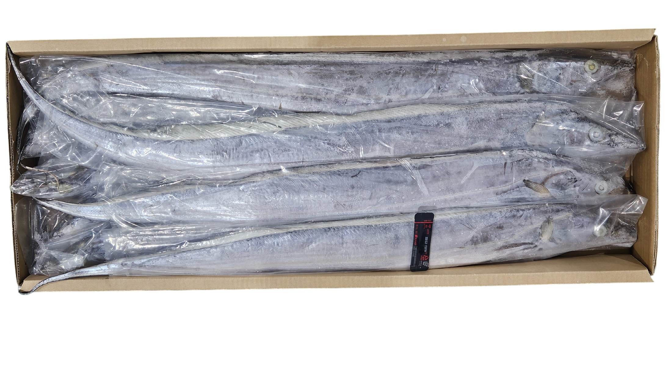 오만 갈치(채낙) 700/900