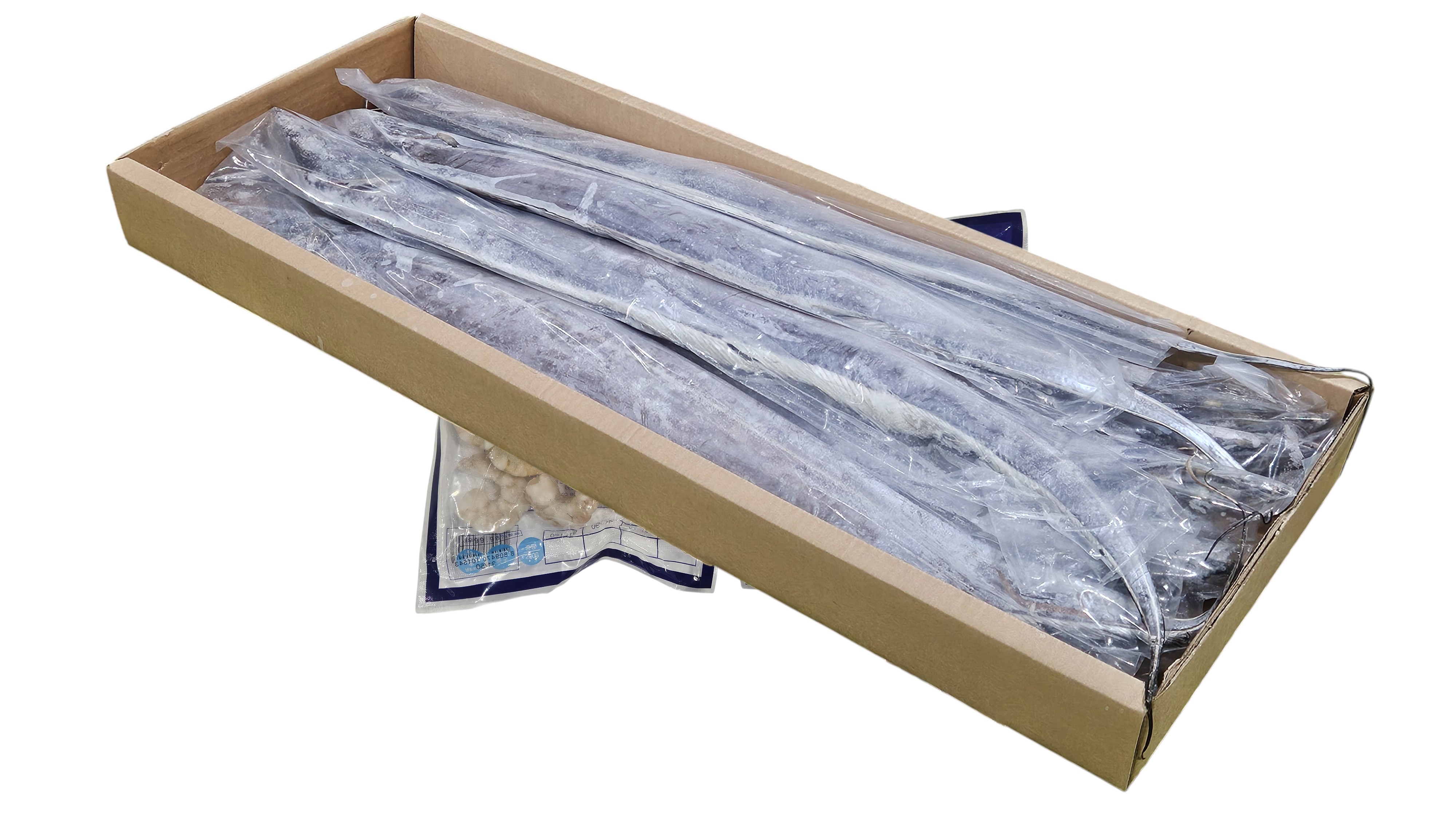 오만 갈치(채낙) 700/900