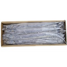 오만 갈치(채낙) 700/900