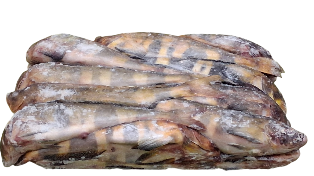 냉동 임연수 2L (22~ 25마리)