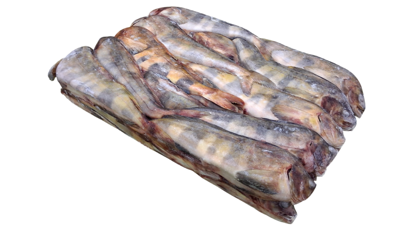 냉동 임연수 L (26~ 32마리, 러시아, 18kg)