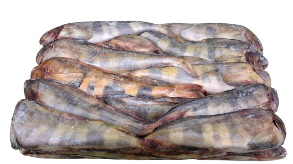 냉동 임연수 L (26~ 32마리, 러시아, 18kg)