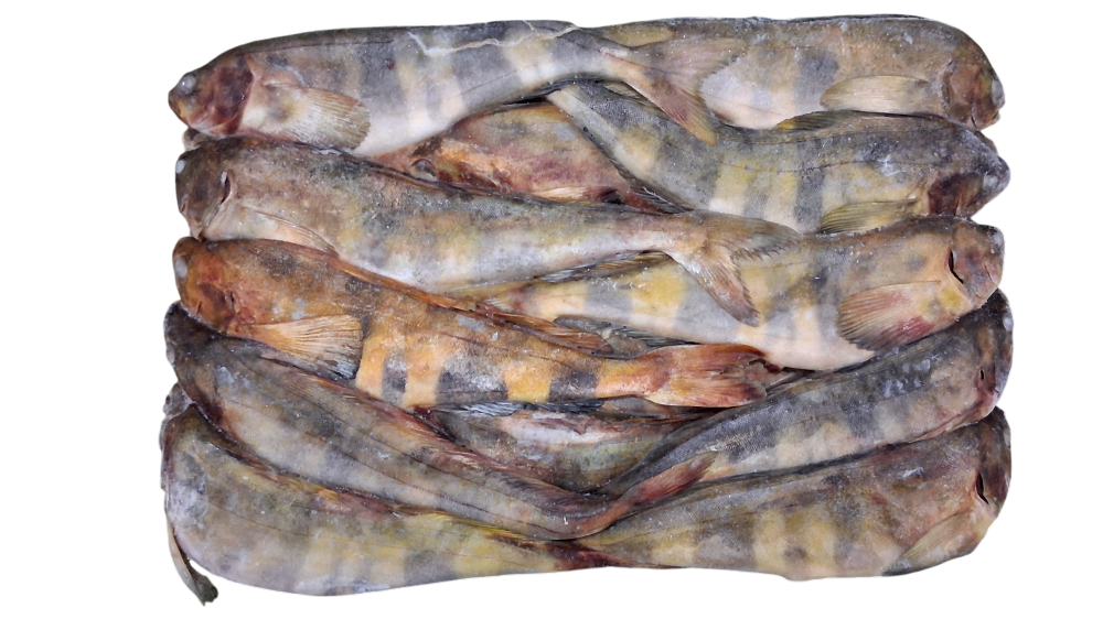 냉동 임연수 L (26~ 32마리, 러시아, 18kg)