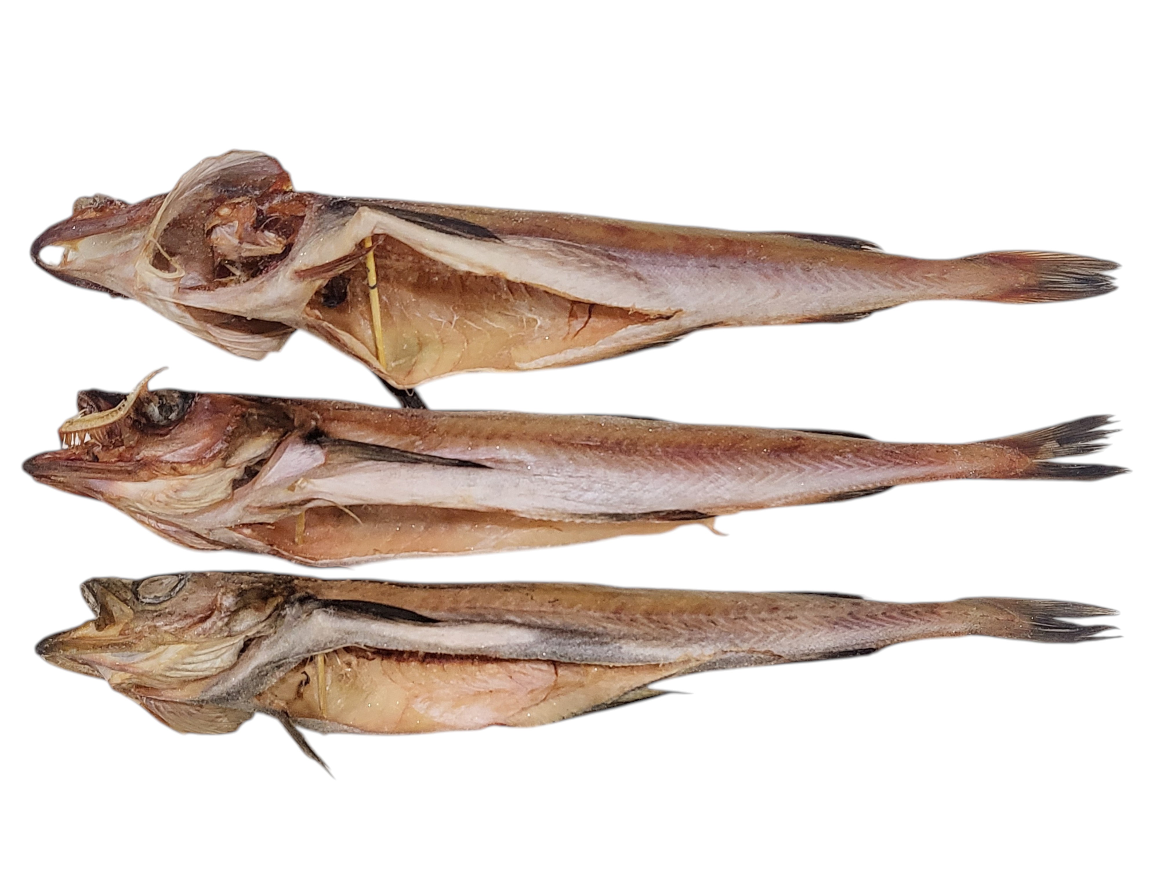 깔끔 코다리 48미 (코다리찜 전용)