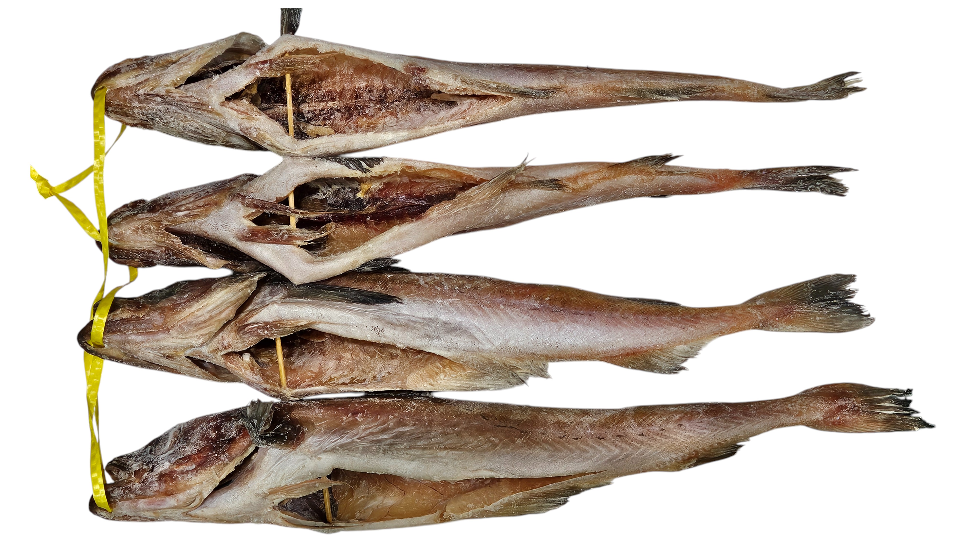 냉 코다리 40미 (410)