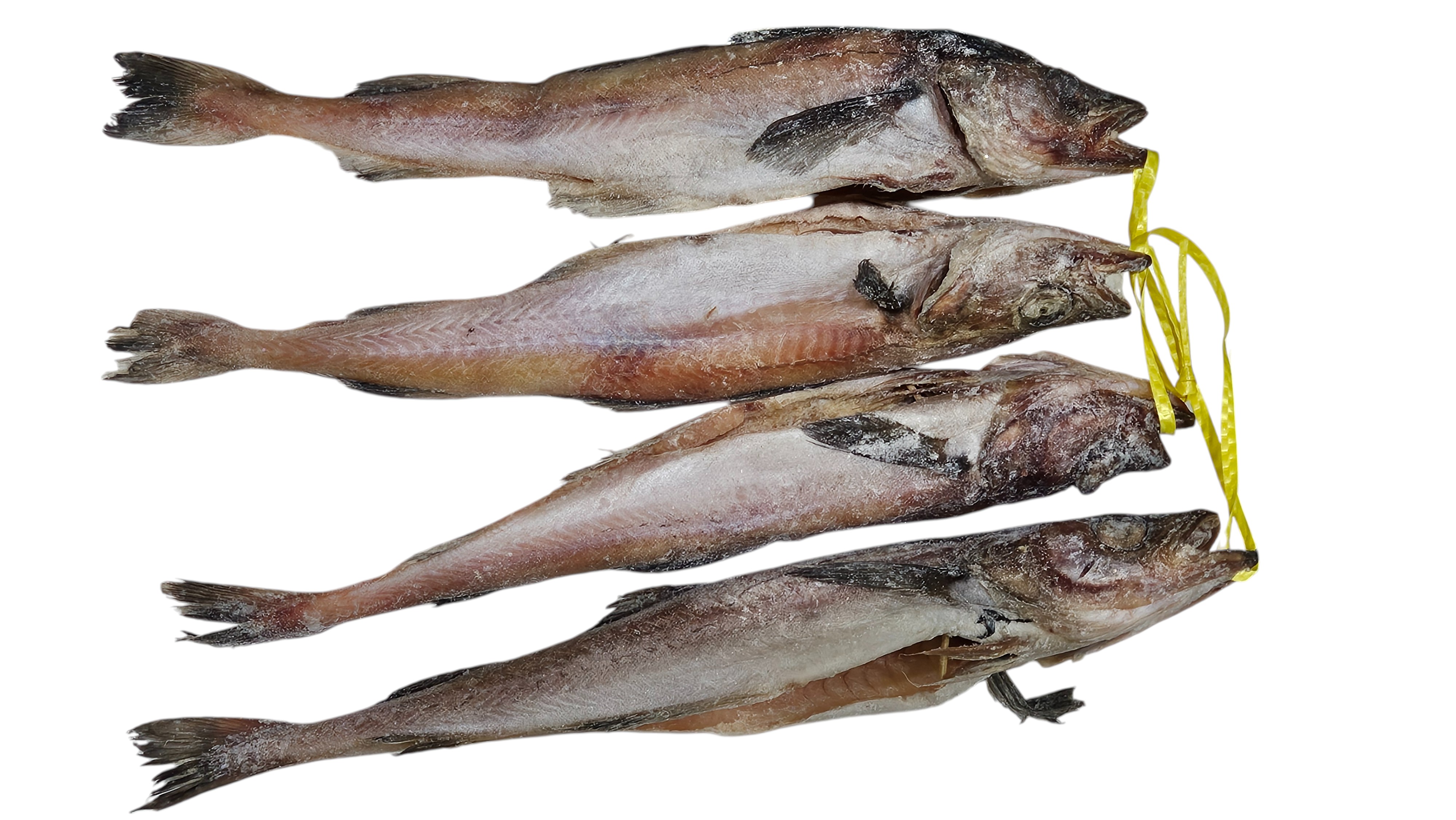 냉 코다리 40미 (410)