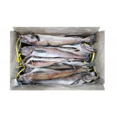 냉 코다리 40미 (410)