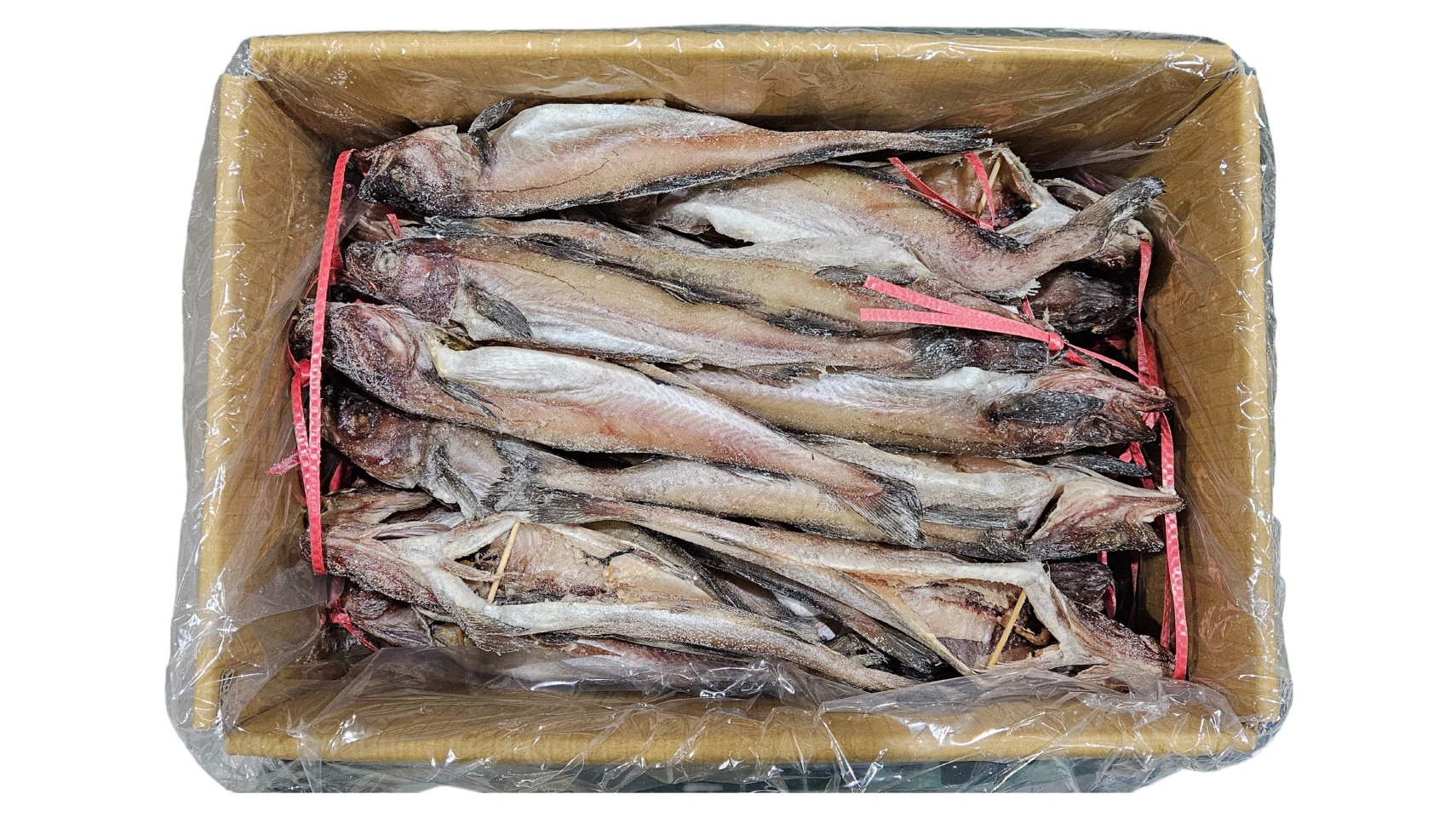 냉 코다리 56미 (414)