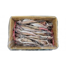 냉 코다리 56미 (414)