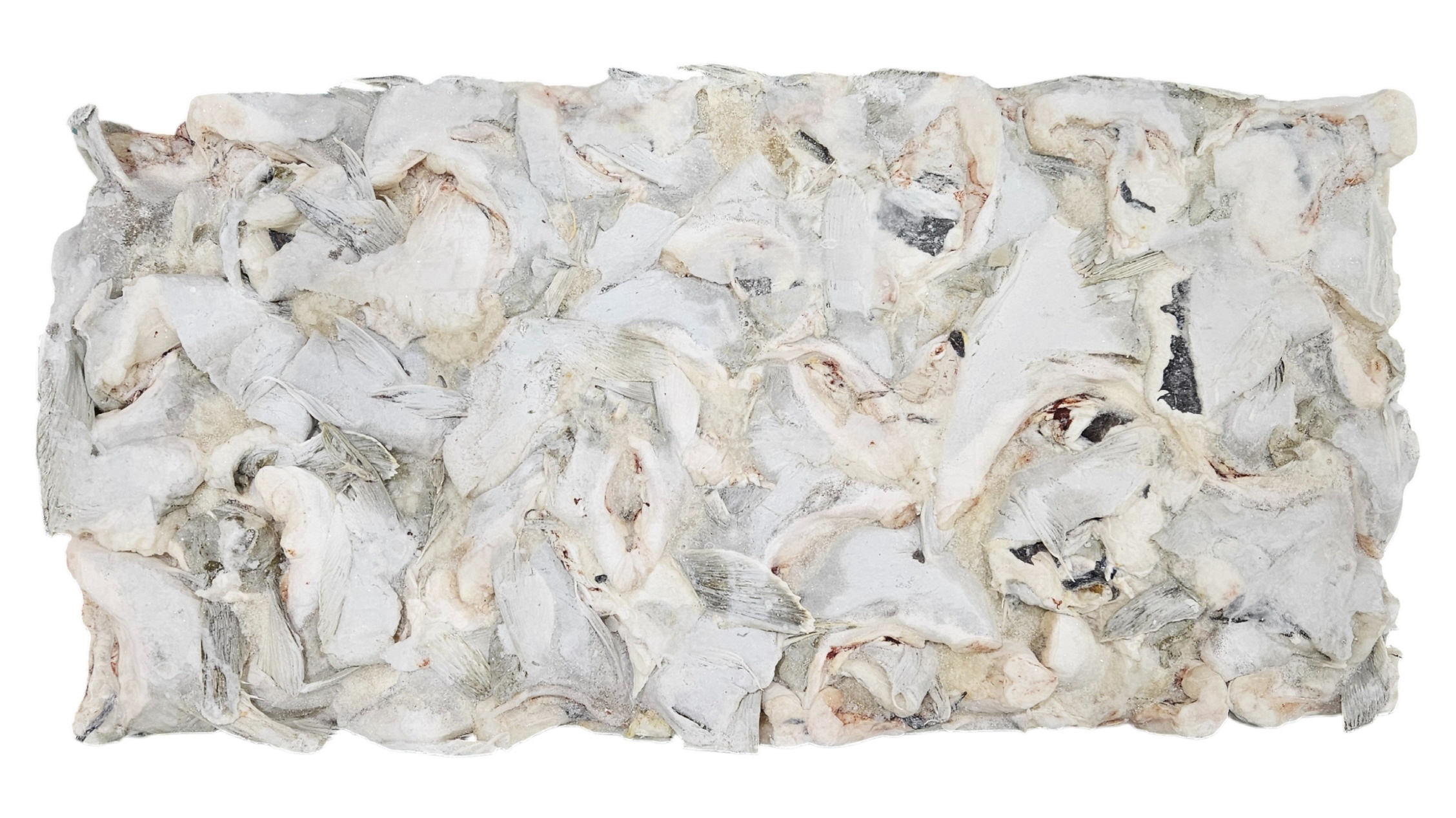 대구 목살 (가마살) L (선동, 러시아)