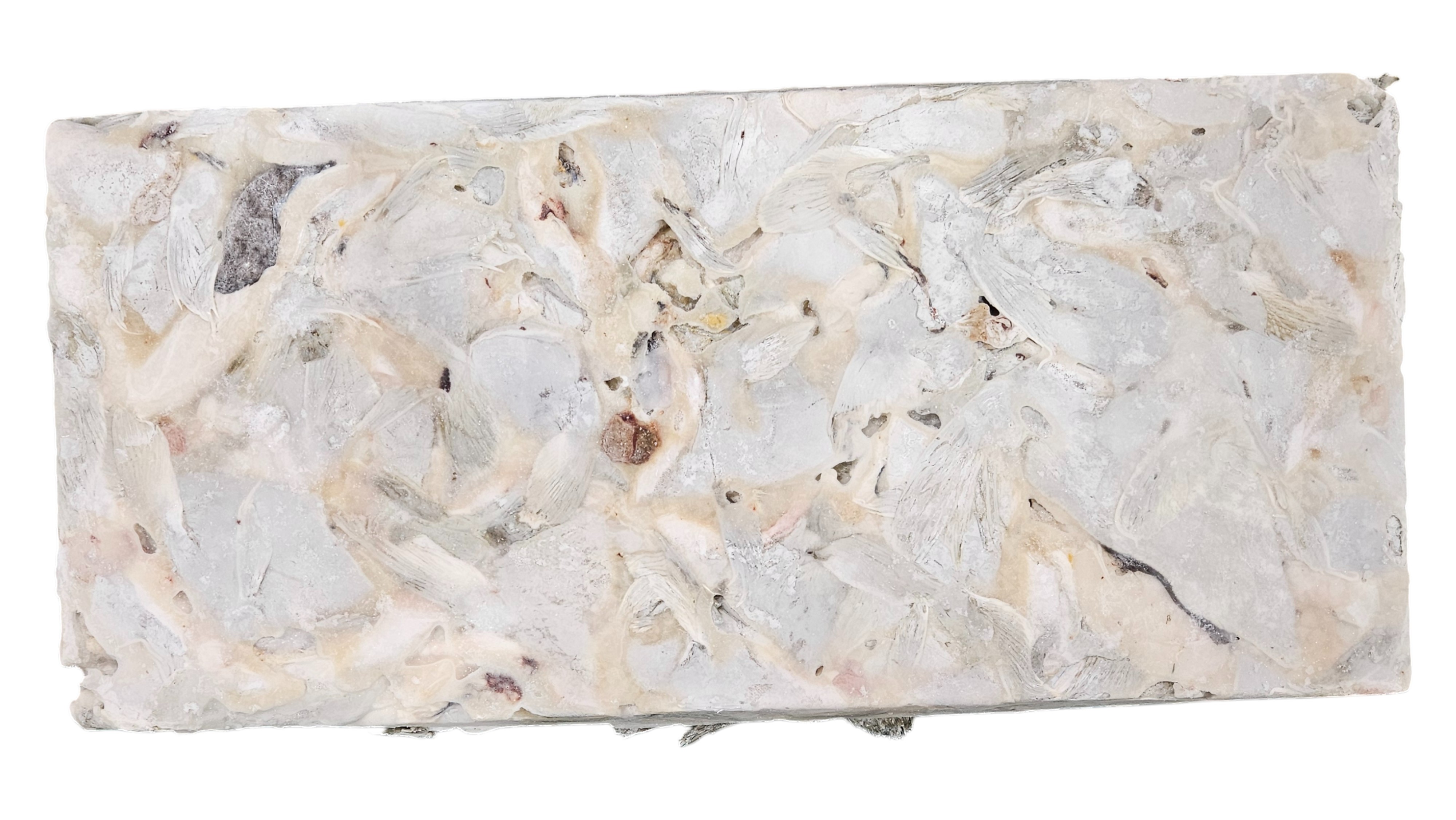 대구 목살 (가마살) L (선동, 러시아)