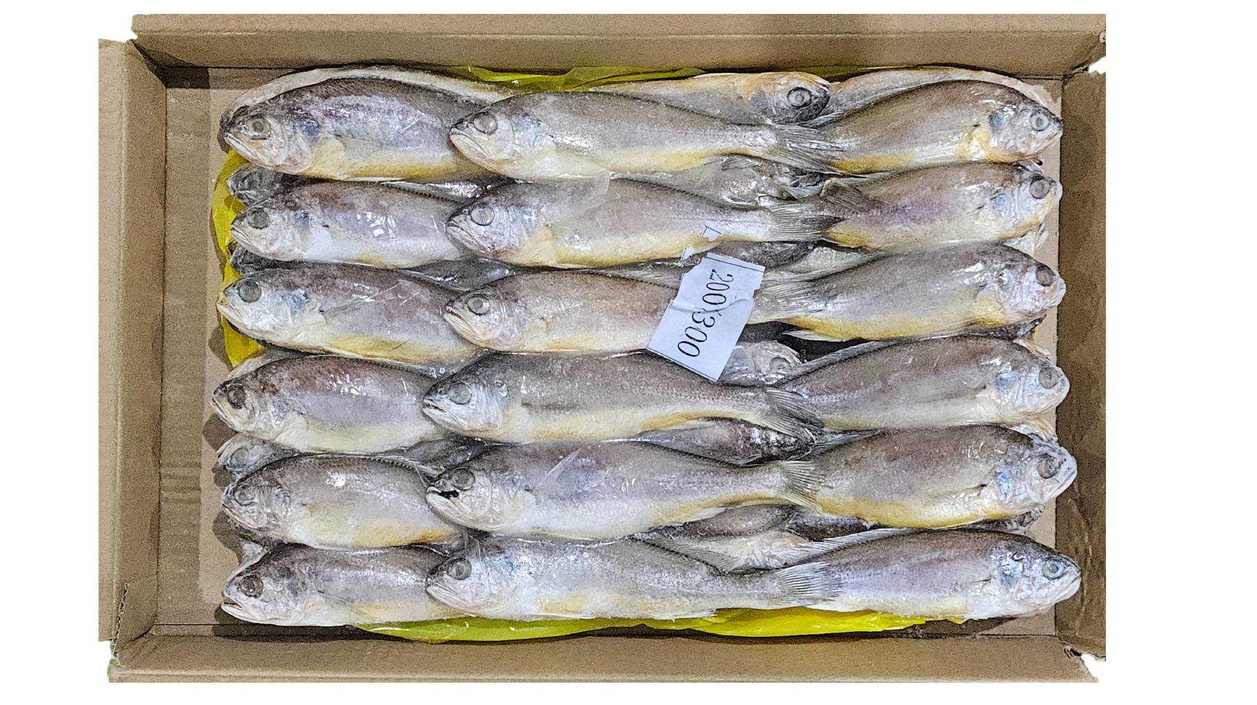 참조기 (봉화) 40/42미